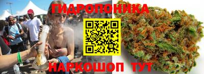 меф Лесосибирск