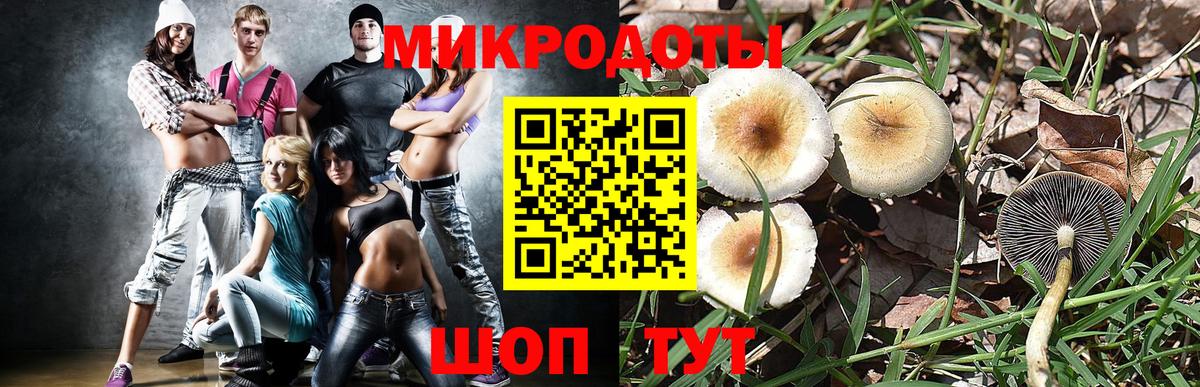 Морозовск  Псилоцибиновые грибы прущие грибы  Вход с VPN 
